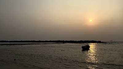 IMG_8909.MOV