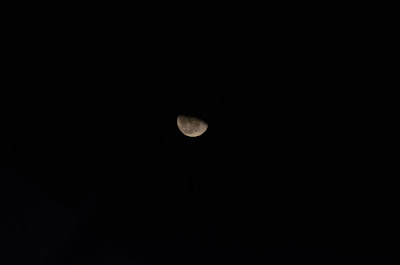 DSC_5875.JPG
