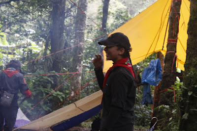 _MG_4175.JPG