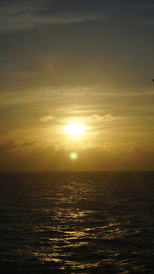 DSC02821.JPG