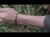 MVI_9949.THM
