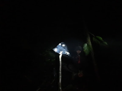 DJI_0109.DNG
