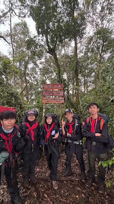 IMG_4782.HEIC