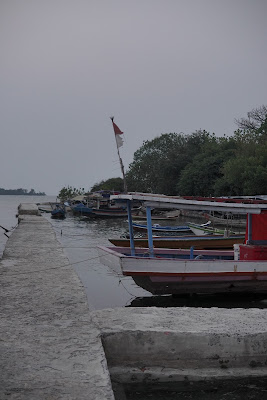 DSC06735.JPG