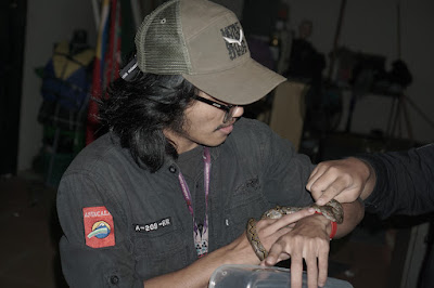 DSC07786.JPG