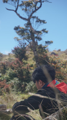 DSC03813.JPG