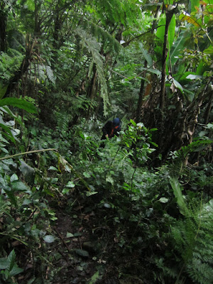 IMG_2620.JPG