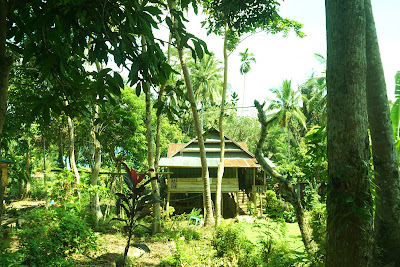 DSC03734.JPG