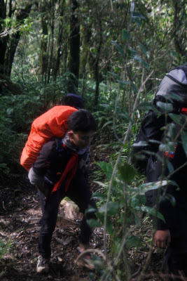 _MG_2630.JPG