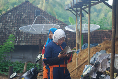 DSC_0084.NEF