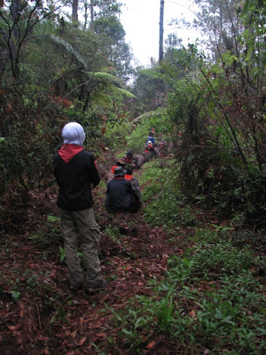 IMG_1151.jpg