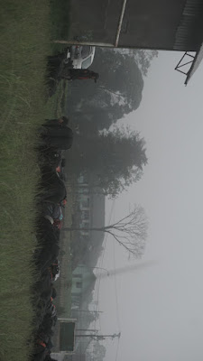 DSC08800.JPG