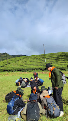 IMG_20241215_081425.jpg