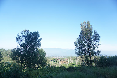 DSC02037.JPG
