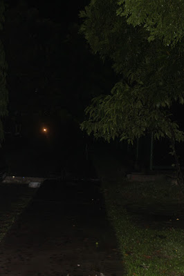 IMG_5493.JPG