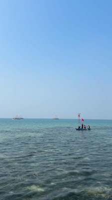 IMG_8234.MOV