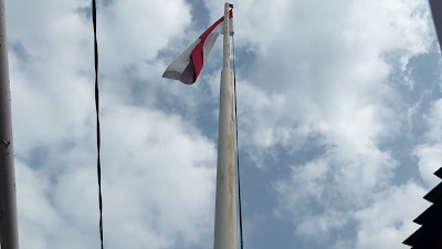 IMG_7731.MOV