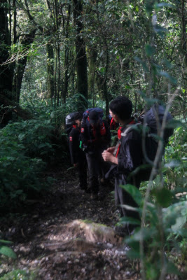 _MG_2628.JPG