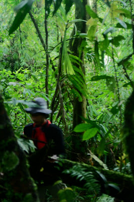 DSCF6567.JPG