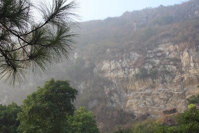 IMG_8881.JPG