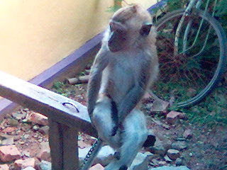 Foto(19).jpg