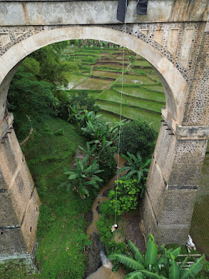 DJI_0728.JPG