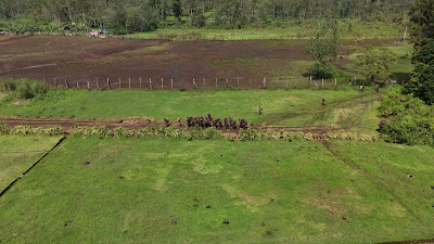 DJI_20260125103708_0184_D.MP4