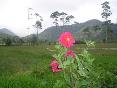 DSC00295.JPG
