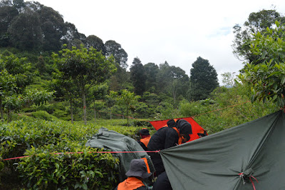 DSC_0271.JPG
