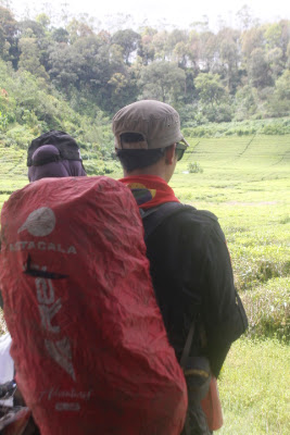 _MG_2691.JPG