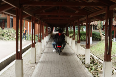 DSC05156.JPG