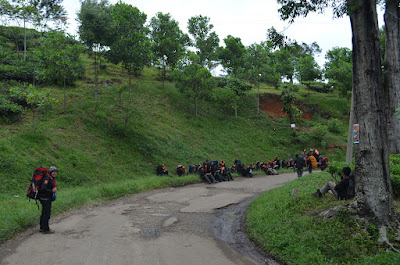 DSC_1116.JPG
