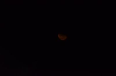 DSC_5869.JPG