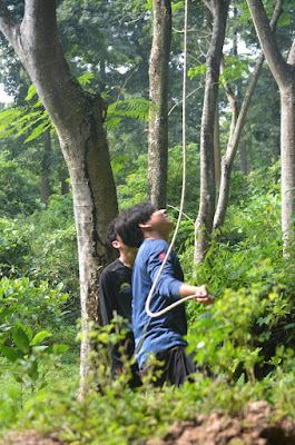 DSC_4599.JPG