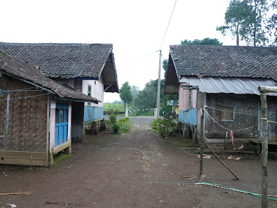 P1040901.JPG
