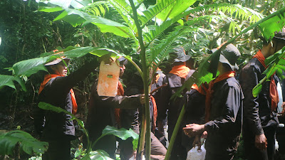 IMG_2618.JPG