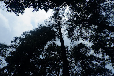 DSCF6613.JPG