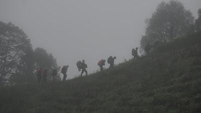 DSC08893.JPG