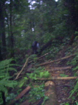 Survey PDA XIV Gunung Hutan dan SAR - 020.JPG