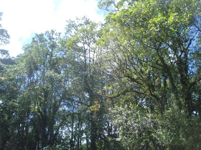 DSC02674.JPG