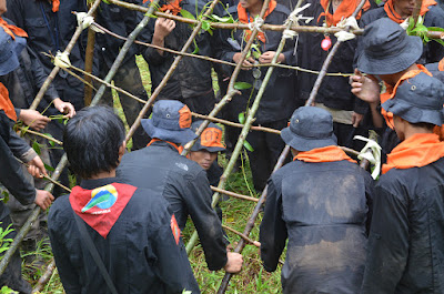 DSC_0197.JPG