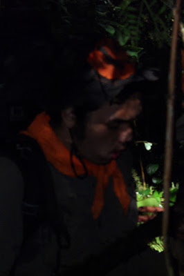 SAM_0698.JPG