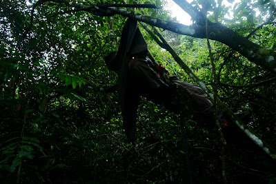 DSCF6561.JPG