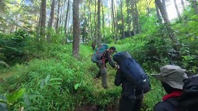 dji_mimo_20260528_081802_20260528081802_1780375381425_video.mp4