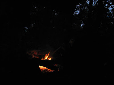 IMG_1373.jpg