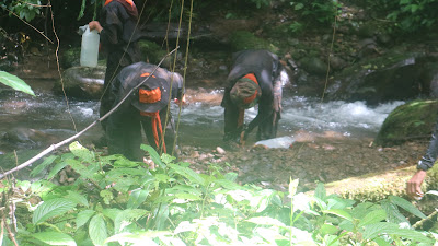 IMG_2643.JPG