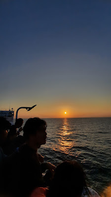 20250726_180314.jpg