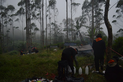 DSC_0199.JPG