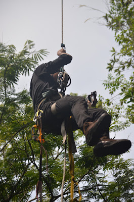 DSC_4692.JPG