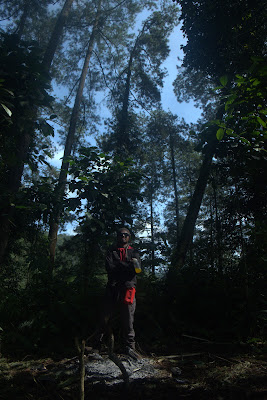 DSCF6582.RAF